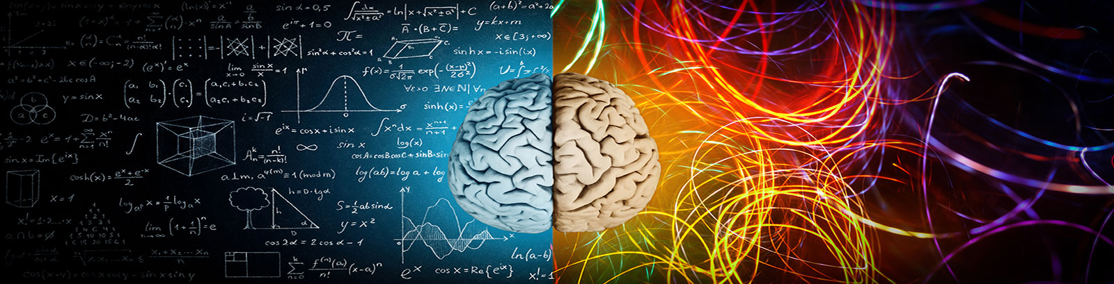 brain art image