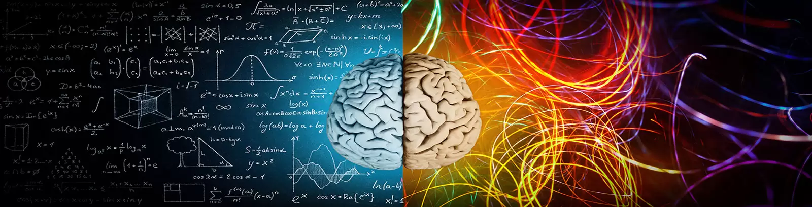 brain art image